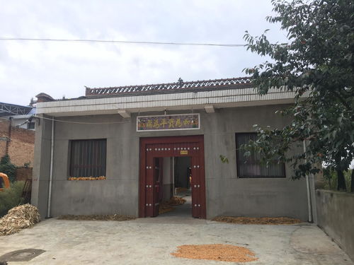 作家梁纪委家乡 陕西省乾县王村镇梁家窑村玉米喜获丰收