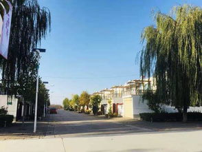 情系西头村 携手奔小康