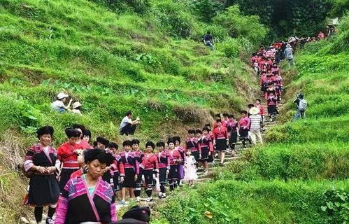 广西与贵州交界处的 菇类村 ,女性衣着开放,以母系社会为主