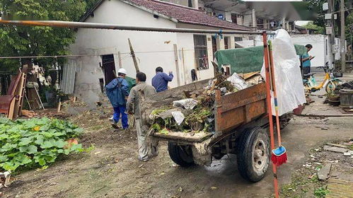 美丽系列创建丨嘉定新城 马陆镇 这个村用篱笆打造美丽 节 点