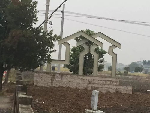 变化真的很大 不信你看 这么美的乡村就在老余杭