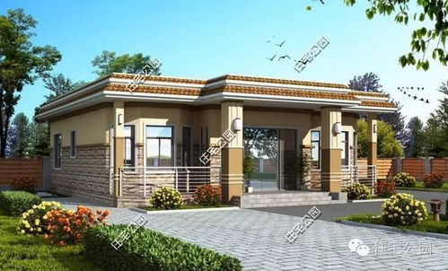 6套一层小别墅,10来万盖起来,第5最实用 含图纸