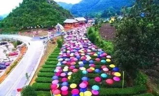 x 促销促销 宁波舟山三日特价399元 普陀之星游轮出海游 四星设施慈航 影秀酒店 高科技5d 大型甬秀演艺秀