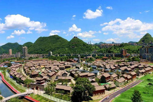 金色妥乐 粉黛花海 游世界古银杏之乡,秘境彝族部落,豪叹国际五星喜来登 0加点0购物