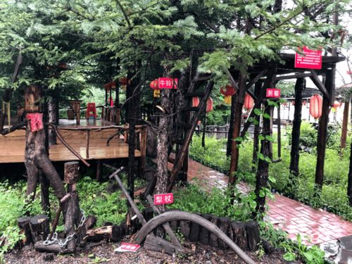 纪实情系脱贫攻坚,青春不负远航 吉林省靖安村调研