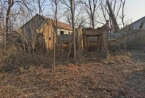 山西村邻因宅基地互杀,致五死 两家系同族,案发前已争吵三天