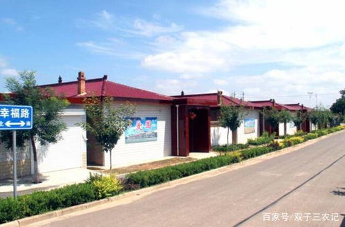 不想在外打工的农村人,适合在家做什么 看完不再迷茫