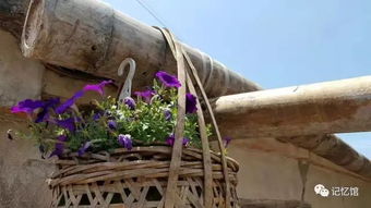 2018春节 到中国大陆最南端徐闻,听海的故事