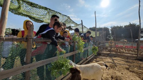 元旦假期 原始部落非洲鼓 diy印第安服饰 柑橘星球品玫瑰柑 篝火晚会烤全羊 入住温泉小木屋