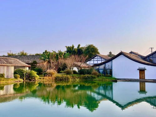 示范 这里是水美乡村