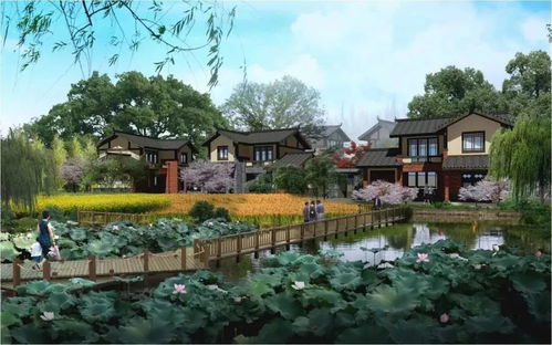 这些人的身价要上涨 双流真的开始爆发啦