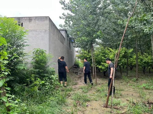 关注 他们这样做