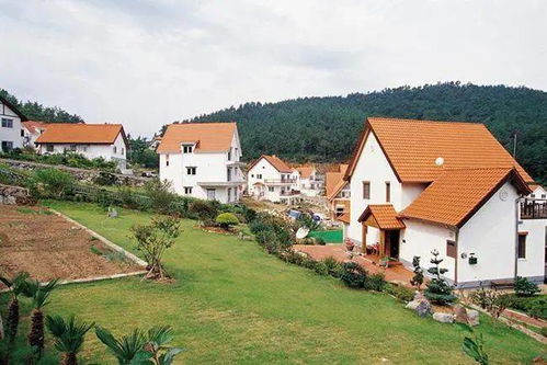 央美教授改造 壁画村 惹争议 画得太抽象,村民看不懂 完工后村子收入却翻倍