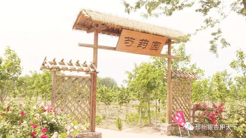 名单公布 徐州4个