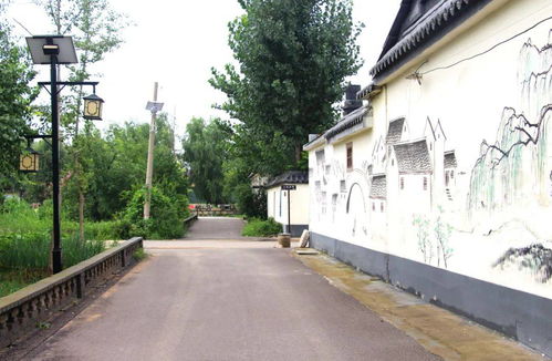 我家街巷最美 系列展示 汶上县郭楼镇古城村