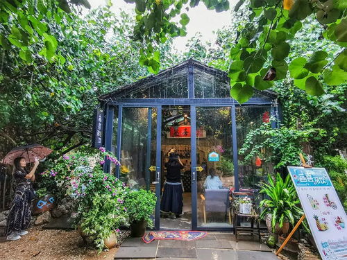 地球有南极,知道中国 南极 在哪里吗 就在 隐秘的角落 取景地