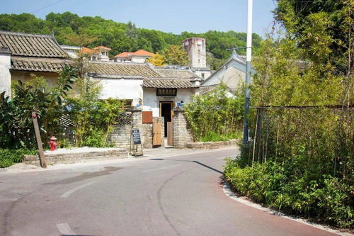 艺术村落系列节目 我在这儿的朋友 探访鳌湖艺术村