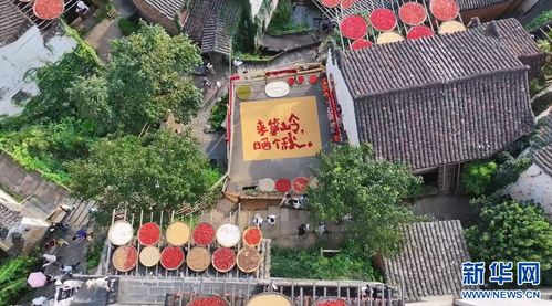 江西是个好地方 又到一年 晒秋 时 崖上古村入画来