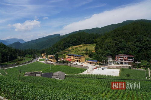 恩施带水河蝶变记 小流域综合治理,绘富村山居图