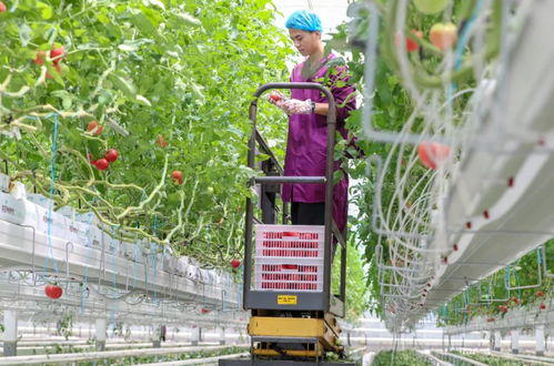 浙江这份成绩单全国第一 数字乡村建设走在前列