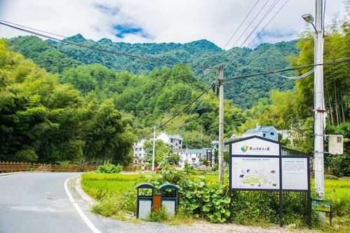 饮水寻源 好地方 ,碧山绿水青蛳甜