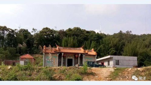 陂洋全部乡村全景航拍图