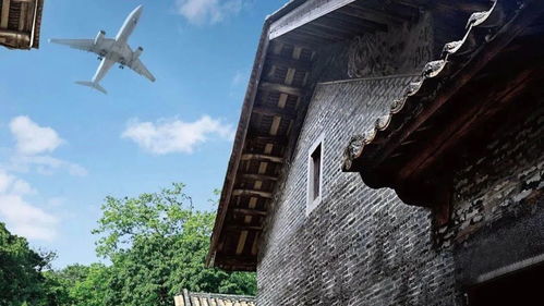 广州空港旁有个网红打卡地