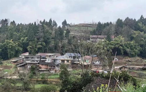 重庆老人火化9年后 死而复生 ,家属 当年被烧成灰的是谁