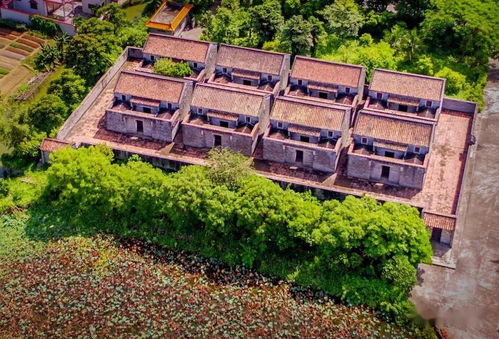 古劳这条村入选 广东美丽侨村 快来pick它