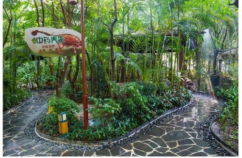 送大礼 七星级抢购 仅 699元 套 入住增城健康山谷温泉 别墅房 无限次露天养生温泉 雨林部落 酒店丰盛自助早餐 大丰门景区