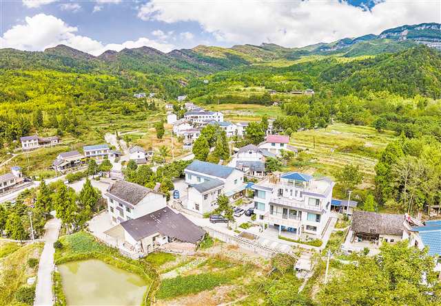 厚植生态本底 擦亮工业底色 南川用生态优势赋能绿色发展