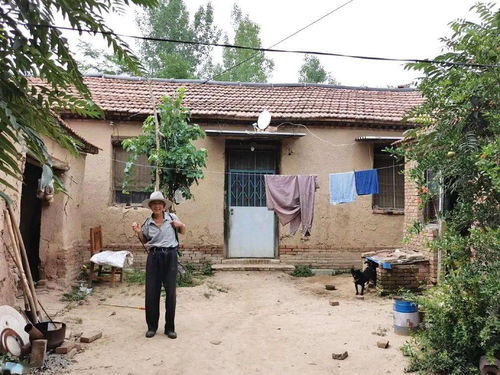 黄河安居梦 系列报道⑦南贾家 利津的村台人家