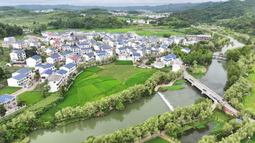 凉爽安顺之美丽乡村避暑安心游 系列报道之八 旧州镇浪塘村 生态优美乡村富 游人如织产业兴