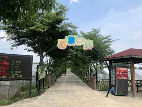 赏美村,观美宿,尝美食,觅美物,购美衣 这些一日游乡村振兴巾帼线路你值得拥有 专线