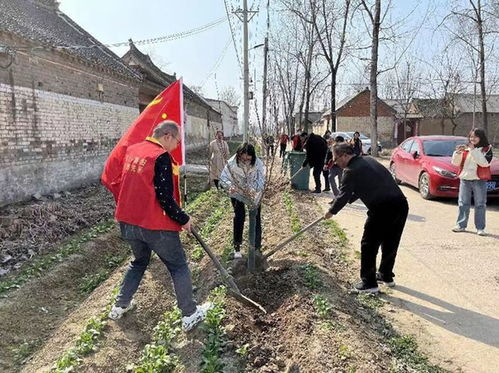 舞阳县审计局 情系共建村 植树添绿意