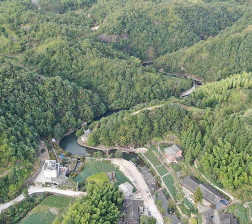 浙江首批 20个镇 村 上榜这份名单,宁波这个地方上榜了