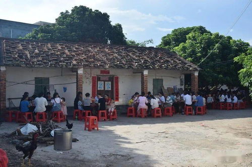 场面感人 石康镇榕树根村外嫁女集体回娘家团聚,全村人大联欢