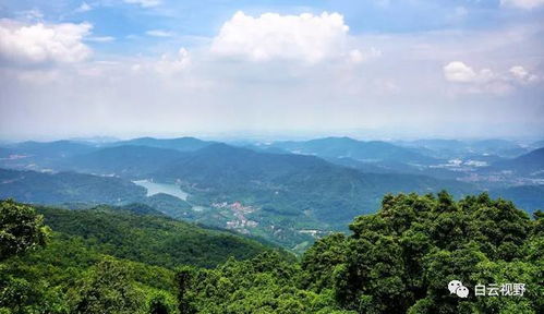 白云版的 涯系客家人 , 深藏帽峰山 门开万里拢翠,亚婆山歌沉醉