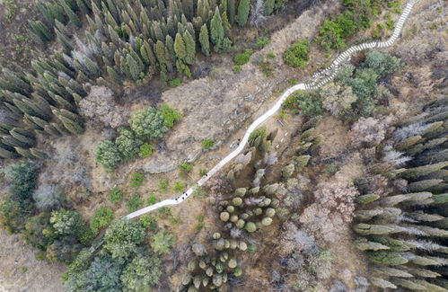 新华全媒 图片故事 守护云南梅树村 时光隧道 的老人