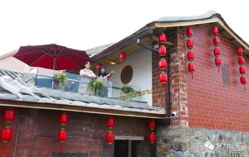 永春仙夹镇龙水村玫瑰园民宿对外开放