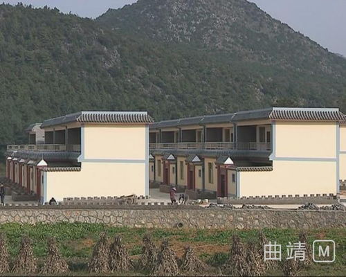 昆钢公司 订单上门收购农副产品 长短期产业结合保脱贫