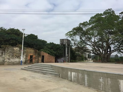 青春大学习 奋斗新时代丨国贸系寻迹村坊调研小组走访凤院村