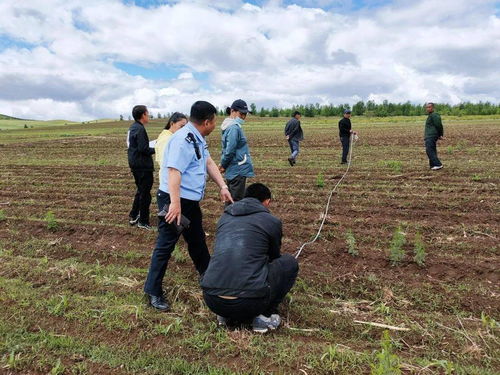 教育整顿 ▏让为民办实事成为教育整顿的 试金石 兴安盟司法行政系统推动为民服务落实落细落地