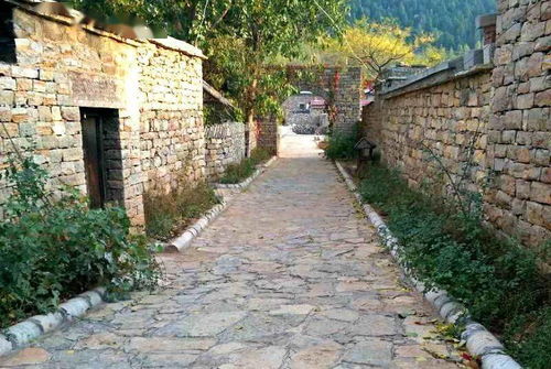 我家街巷最美 系列展示 泰安市肥城市孙伯镇五埠村