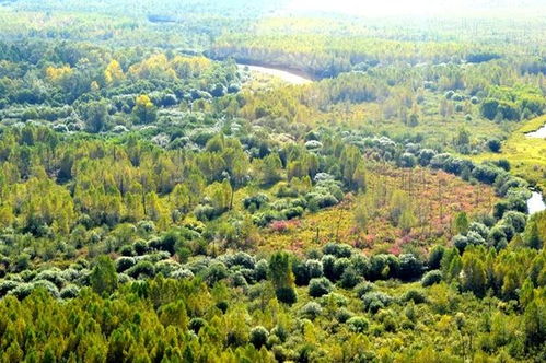 北极光节漠河住宿包车价格很高吗 6月漠河天气
