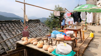 徒步林间乡道,看黄山最有特色的山野人家 休宁木梨硔 祖源