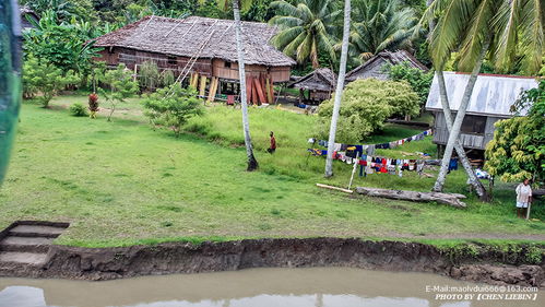 巴布亚新几内亚游记 维外克 降落在土著部落
