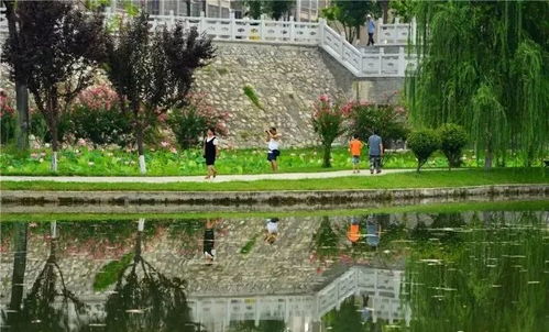 这个夏天,我想和你一起去长安