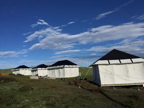 曾经的若尔盖黑帐篷部落已更名为 栖山.黑帐篷营地,新营地可露营,看星星