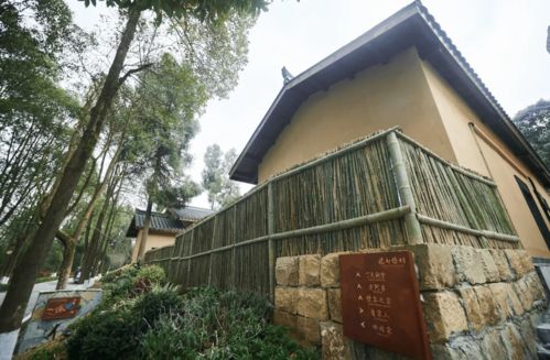 朱德故里景区客博园与德乡慢村精品民宿盛装迎客，星外系村部落开启文旅新篇章